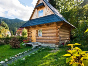 Domki u Ciaptoka Zakopane